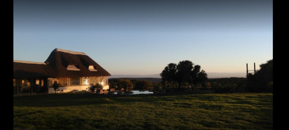 My Travelution - Travel Club - Koffylaagte Game Lodge