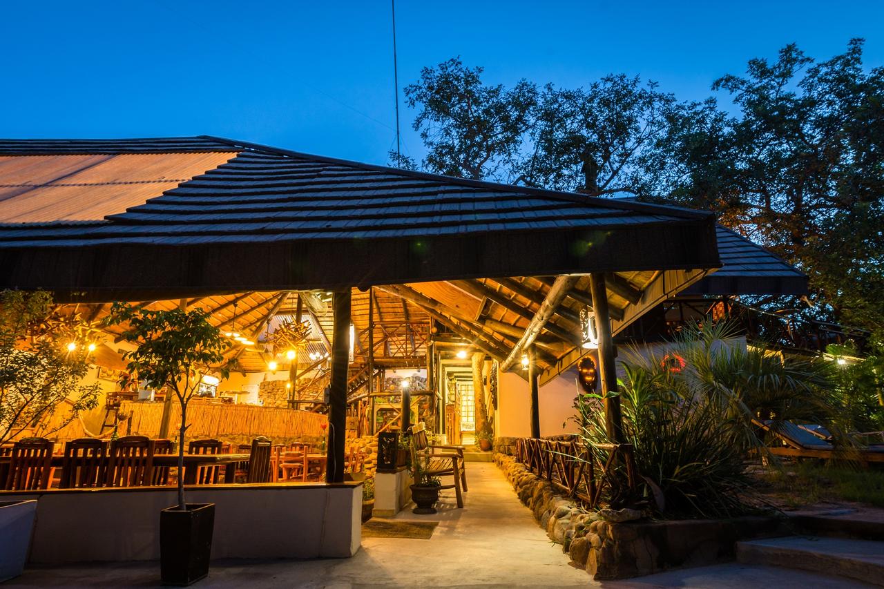 My Travelution - Travel Club - Pezulu Tree House Lodge