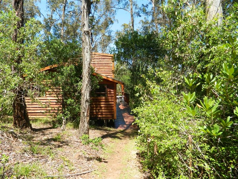 My Travelution - Travel Club - Fern Gully Forest Cabins