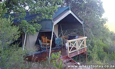 My Travelution - Travel Club - Homtini Guest Farm