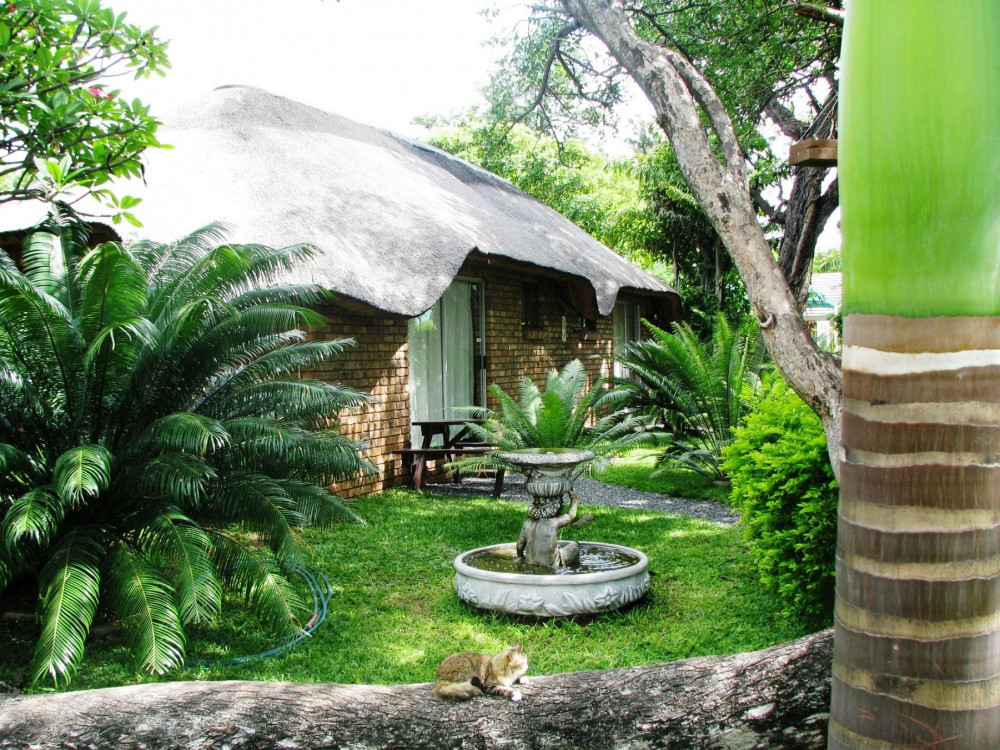 My Travelution - Travel Club - Mufasa Lodge