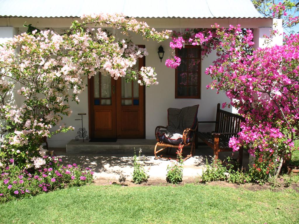 My Travelution - Travel Club - Elephant River House