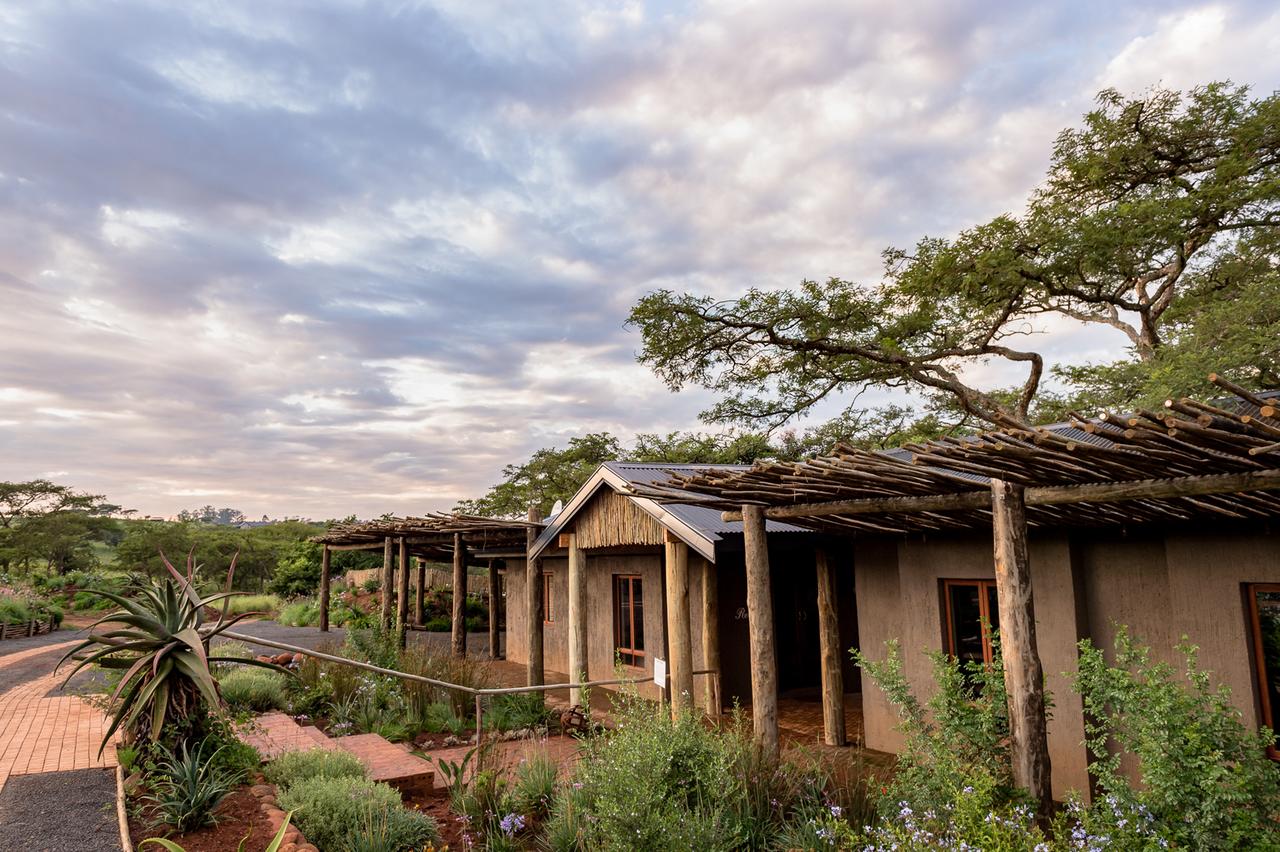 My Travelution - Travel Club - The Hilton Bush Lodge