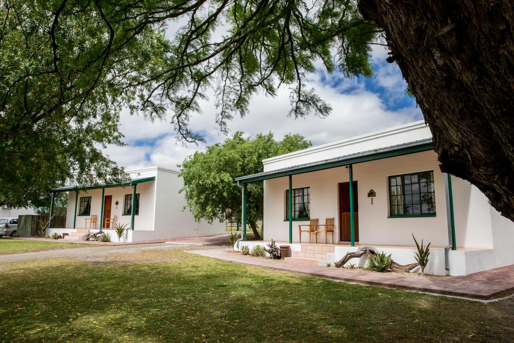 My Travelution - Travel Club - Olive Grove Guest Farm