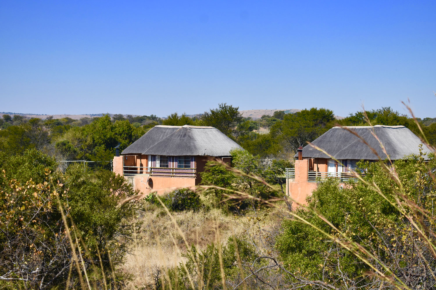 My Travelution - Travel Club - Wildthingz Lodge