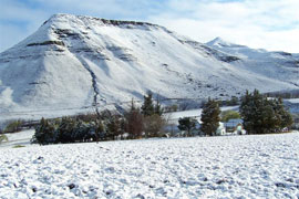 My Travelution - Travel Club - Kinmel Guest Farm and Lodge