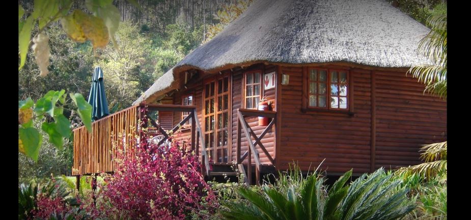My Travelution - Travel Club - Bananien Lodge