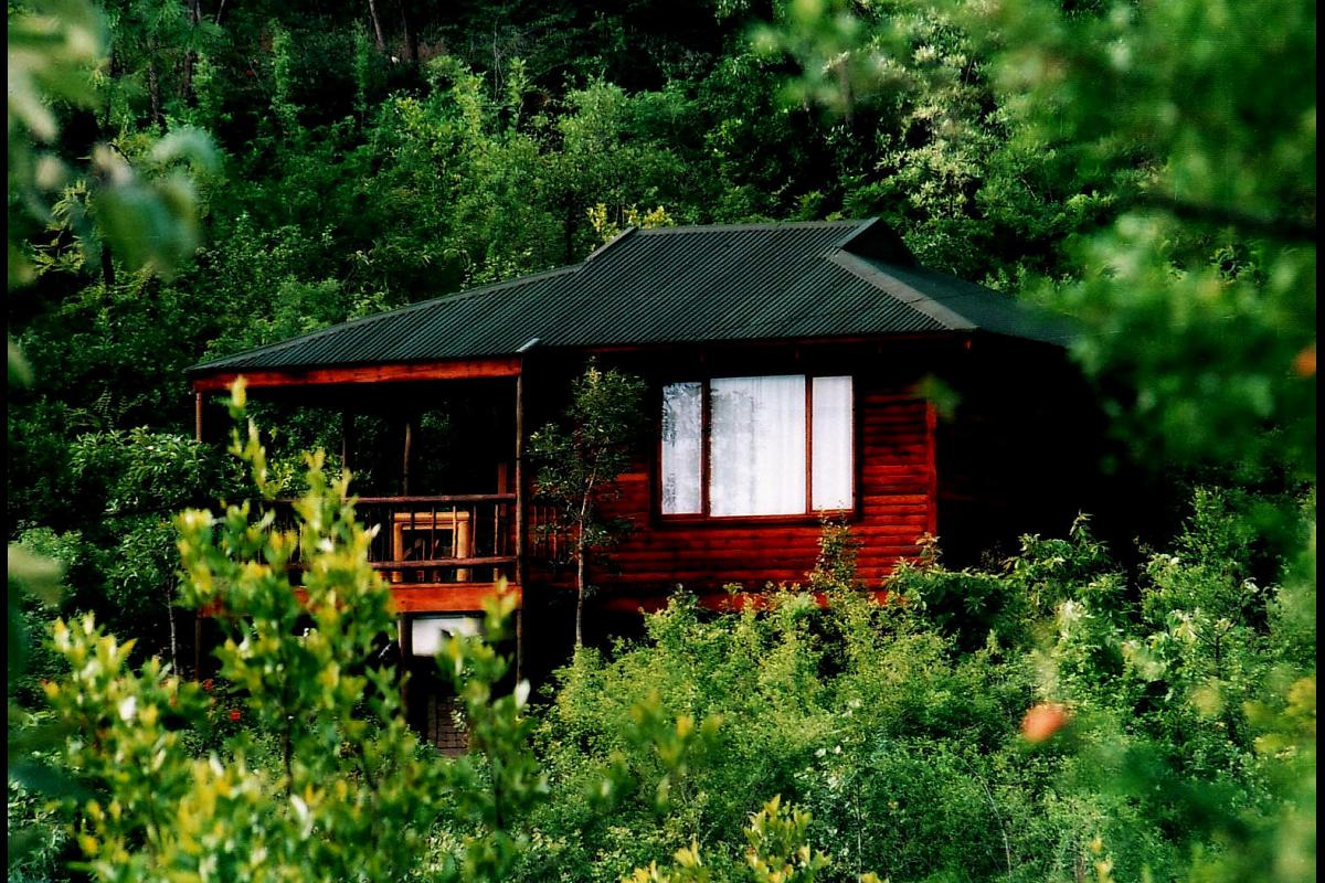 My Travelution - Travel Club - Thulamela Bed and Breakfast