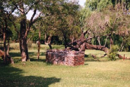 My Travelution - Travel Club - Lodge Laske Nakke