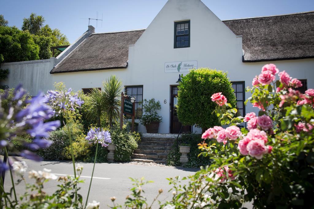 My Travelution - Travel Club - De Oude Herberg