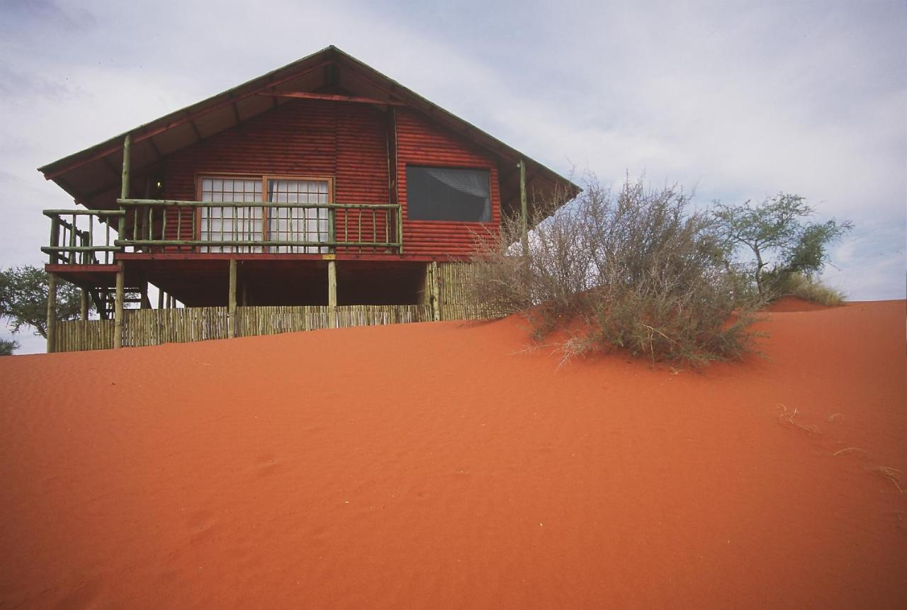 My Travelution - Travel Club - Bagatelle Kalahari Game Ranch