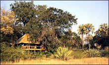My Travelution - Travel Club - Kwetsani Camp