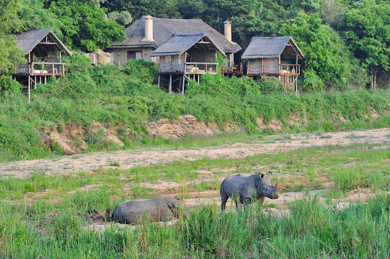 My Travelution - Travel Club - Jock Safari Lodge