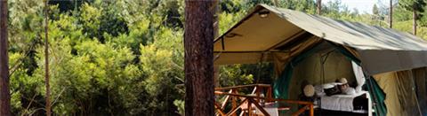 My Travelution - Travel Club - Elgin Hills Tented Camp