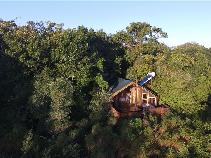 My Travelution - Travel Club - Teniqua Treetops