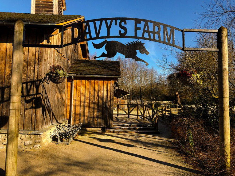 My Travelution - Travel Club - Disney's Davy Crockett Ranch