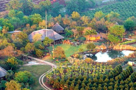 My Travelution - Travel Club - Rock-a-Bye Bed & Breakfast