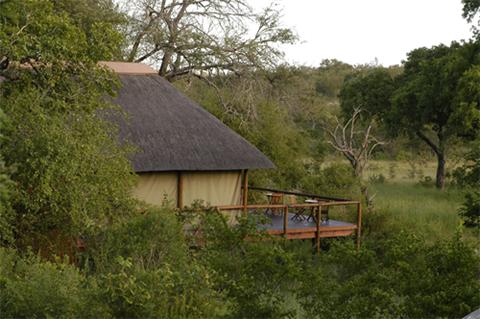 My Travelution - Travel Club - Camp Shonga