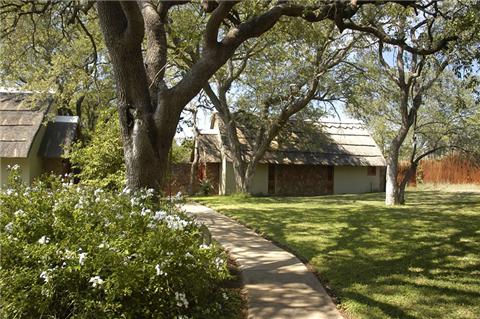 My Travelution - Travel Club - Thornybush Private Nature Reserve