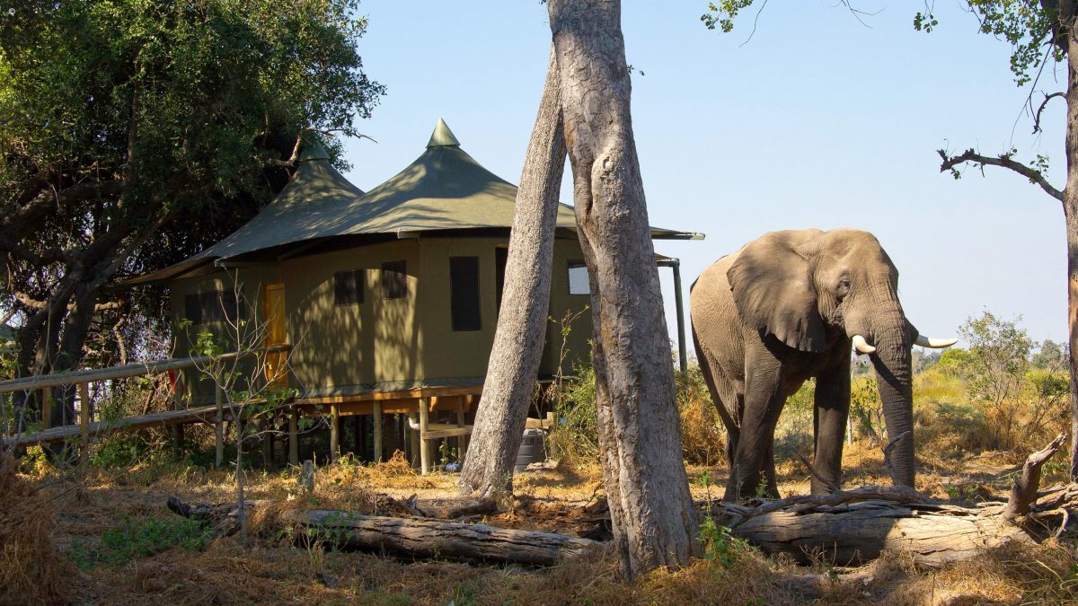 My Travelution - Travel Club - Little Vumbura Camp