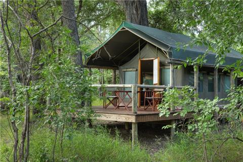 My Travelution - Travel Club - Camp Moremi