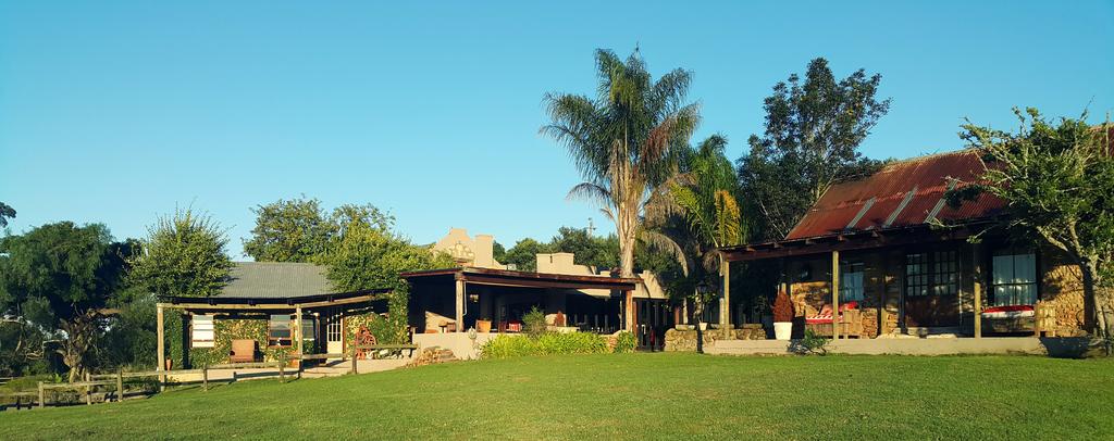 My Travelution - Travel Club - Plettenberg Bay Game Reserve