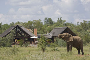 My Travelution - Travel Club - Mateya Safari Lodge