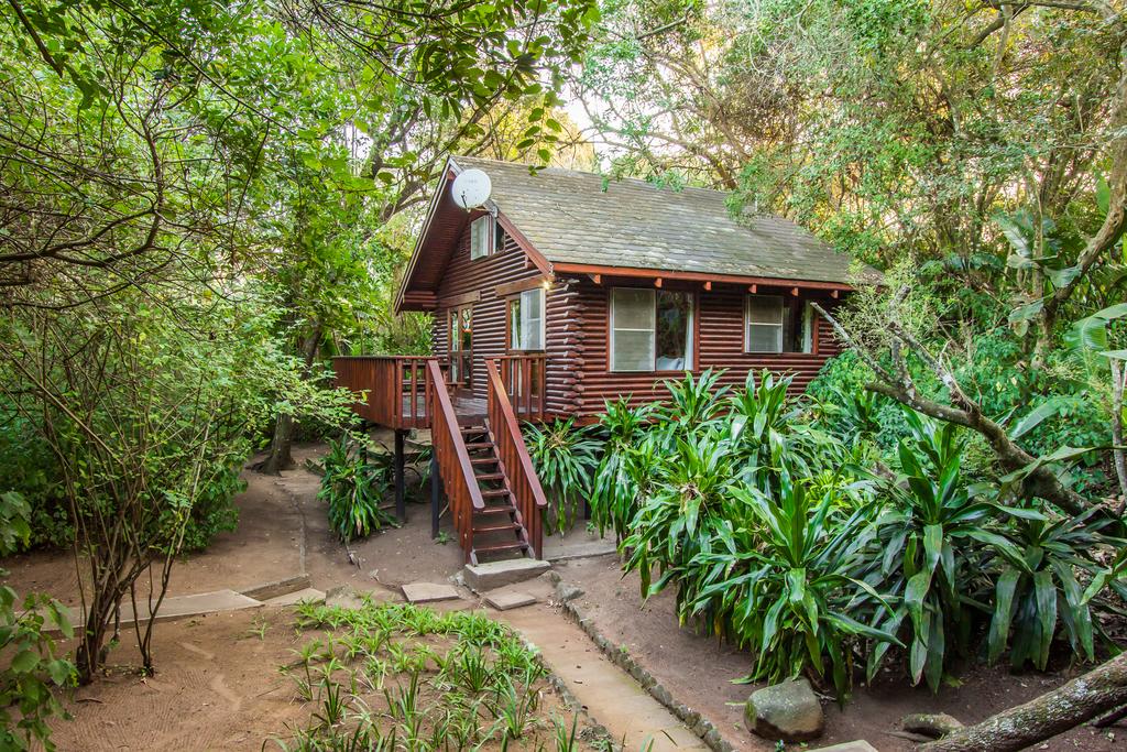 My Travelution - Travel Club - Mtunzini Forest Lodge