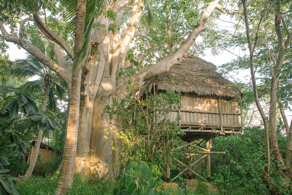My Travelution - Travel Club - Chole Mjini Lodge