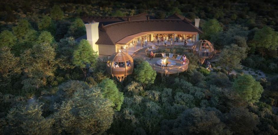 My Travelution - Travel Club - Shamwari Eagles Crag Lodge