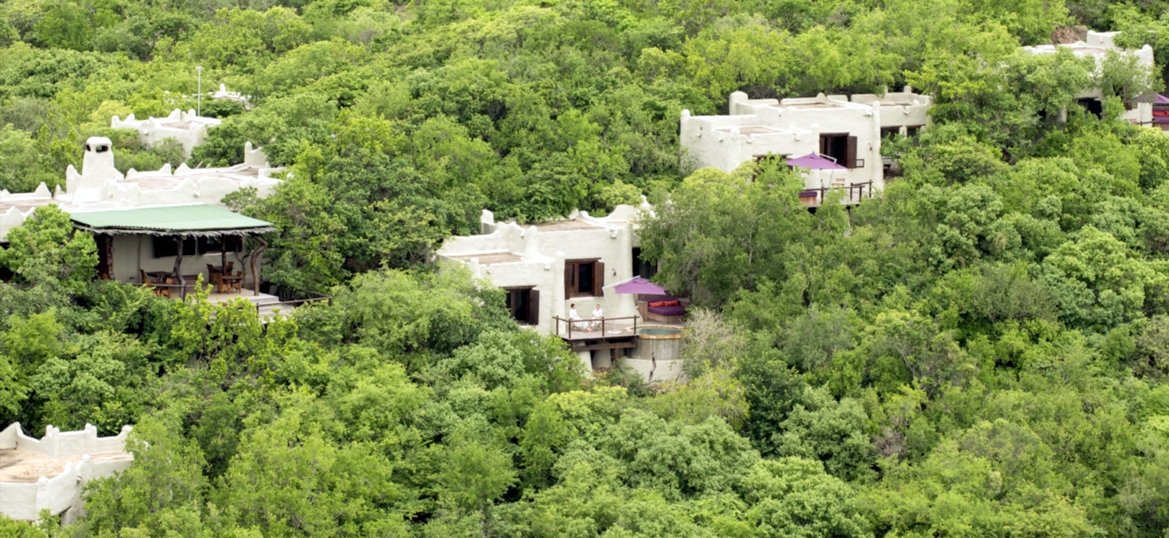 My Travelution - Travel Club - Phinda Rock Lodge