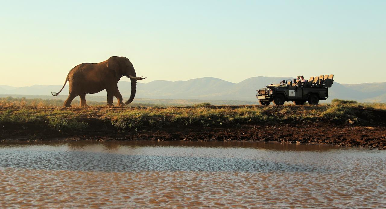 My Travelution - Travel Club - Thanda Private Game Reserve - Tented Lodge