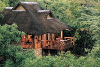 My Travelution - Travel Club - Makweti Safari Lodge