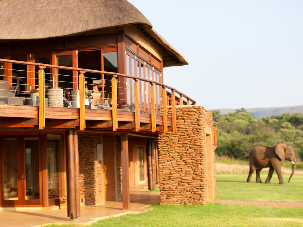 My Travelution - Travel Club - Askari Game Lodge & Spa