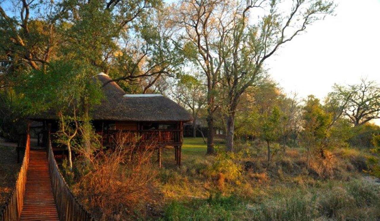 My Travelution - Travel Club - Idube Game Reserve