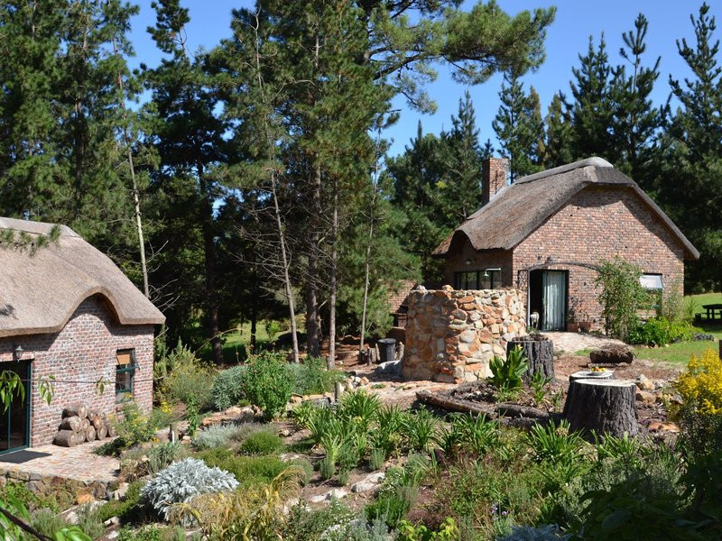 My Travelution - Travel Club - Avolonte Lodge