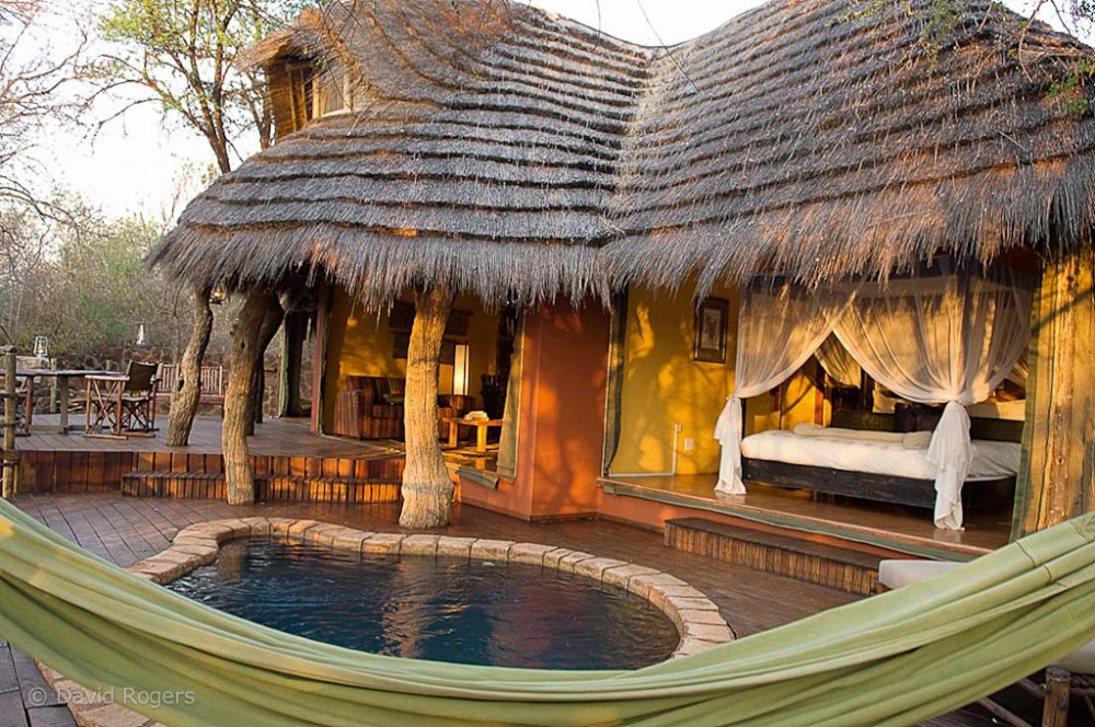 My Travelution - Travel Club - Jaci's Tree Lodge