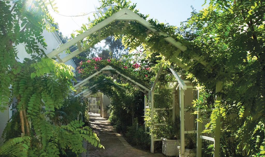 My Travelution - Travel Club - The Last Word Franschhoek
