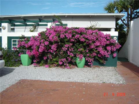 My Travelution - Travel Club - Rooftops Self Catering Apartments