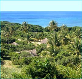 My Travelution - Travel Club - Sylvia Shoal Lodge