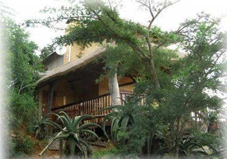 My Travelution - Travel Club - Leopards And Louries Bush Lodge And Safaris