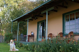 My Travelution - Travel Club - Saamrus Guest Farm