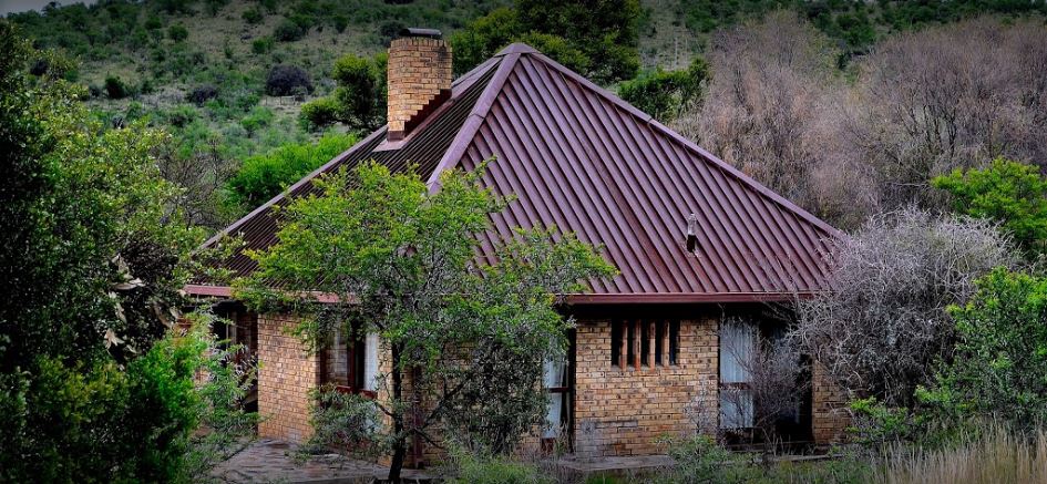 My Travelution - Travel Club - Mountain Zebra Park