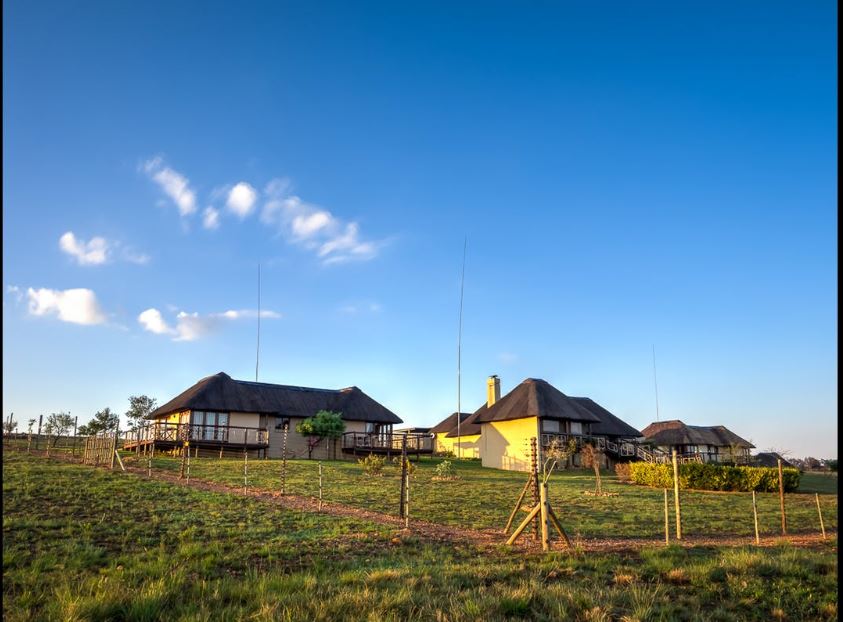 My Travelution - Travel Club - Mount Savannah Game Lodge