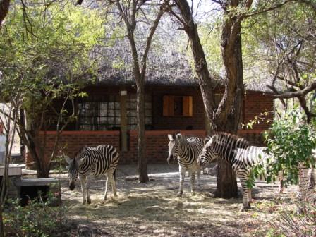 My Travelution - Travel Club - Marloth Park