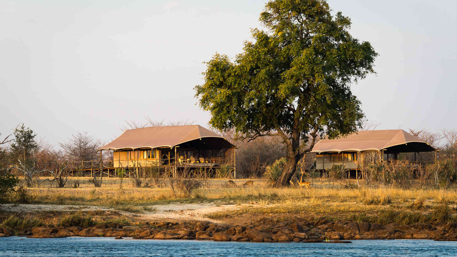 My Travelution - Travel Club - Toka Leya Safari Camp