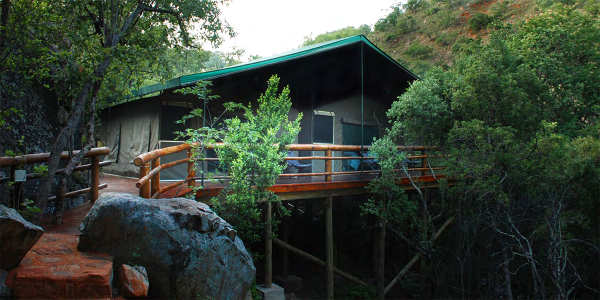 My Travelution - Travel Club - Black Leopard Camp