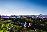 My Travelution - Travel Club - City Central Hotel Auckland