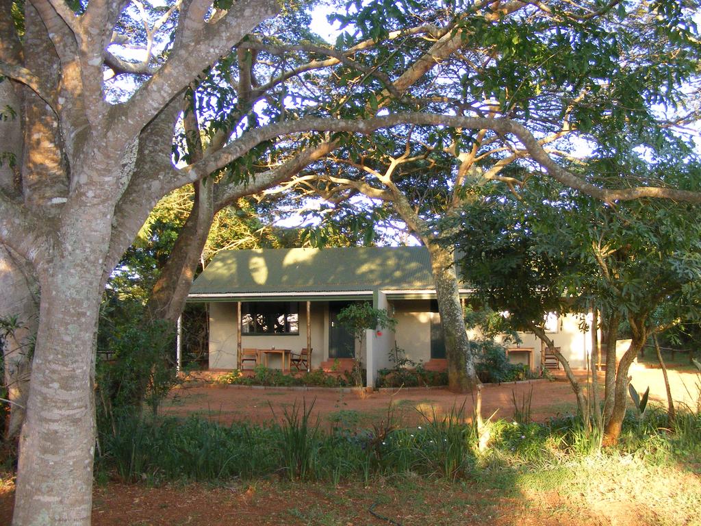 My Travelution - Travel Club - Sand Forest Lodge