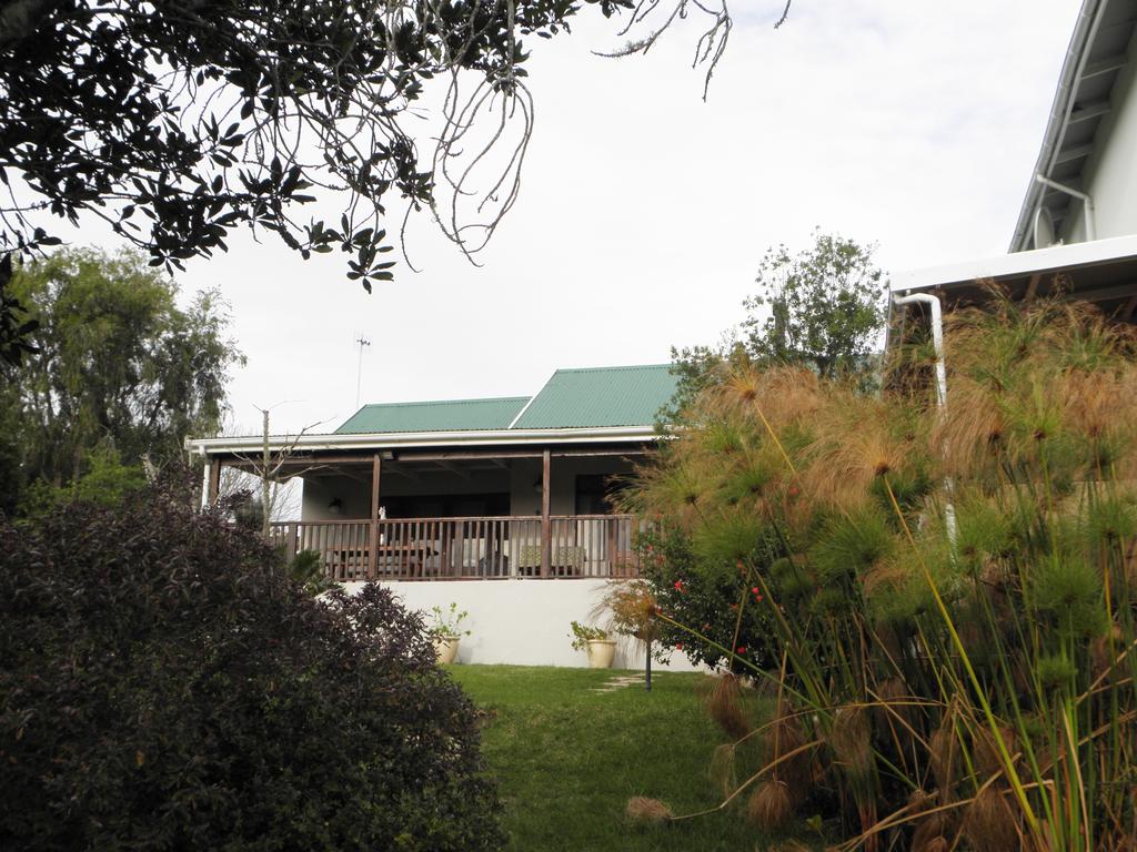 My Travelution - Travel Club - Lavender Hill Guest House
